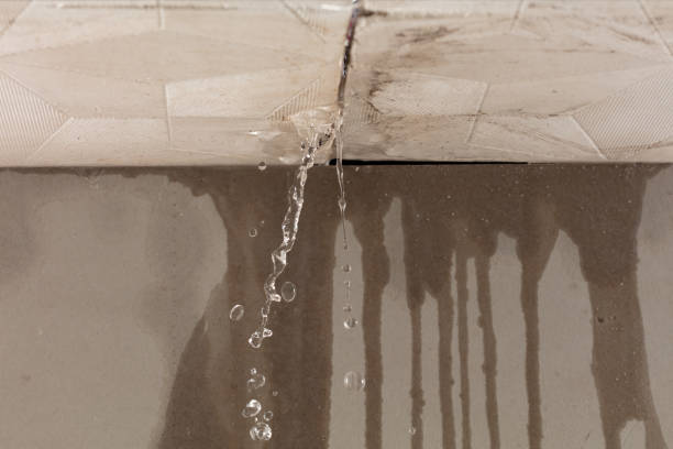 Professional Burst Pipe Cleanup technician working in Sarcoxie, MO